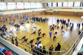 2016年3月12日（土）に開催されたジュニア陸上教室