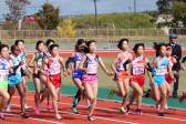 2016年11月6日（日）に開催された第21回新潟県女子駅伝競走大会「三条レディース」の走り