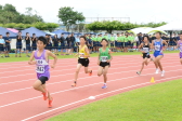 2017年8月20日（日）に開催された平成29年度市民総合体育祭陸上競技大会