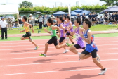 2017年8月20日（日）に開催された平成29年度市民総合体育祭陸上競技大会