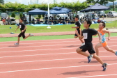 2017年8月20日（日）に開催された平成29年度市民総合体育祭陸上競技大会