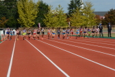 2018年11月4日に開催された第23回新潟県女子駅伝競走大会「三条レディース」の走り