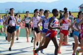 2018年11月4日に開催された第23回新潟県女子駅伝競走大会「三条レディース」の走り