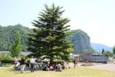 2018年6月3日に開催された第33回しただ新緑ロードレース