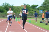 2019年7月20日に開催された第5回三条リレーマラソン