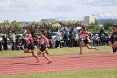 2022年5月8日開催された第49回三条リレーカーニバル